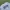 Fruit of the Loom Casual Sweater Pria gray photo 3