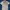 Polo Ralph Lauren Luxury Minimalist Polo shirt Pria white blue photo 1