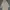 Lafuma Gorpcore Sportswear Windbreaker Wanita cream photo 5