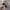 Asics Streetwear Sneakers Pria multicolor photo 5
