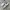 Adidas Casual Sneakers Pria multicolor photo 1