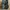 Nike Casual Casual shoe Pria black photo 4
