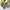 Nike Streetwear Sportswear Sneakers Wanita multicolor photo 5