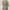 Gucci Luxury Avant Garde Evening dress Wanita tan cream photo 7