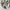Puma Streetwear Casual Sneakers Wanita multicolor photo 5