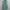 COLORBOX Minimalist Casual Shirt Wanita white green photo 1