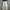Vintage Streetwear Jeans Pria Green Cream