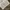 Vintage Streetwear Jeans Pria white blue photo 4