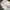 Vintage Streetwear Jeans Pria white blue photo 5