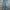 Vintage Streetwear Jeans Pria blue photo 1
