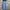 Vintage Streetwear Jeans Pria blue photo 2