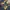 Sean John Vintage Y2K Tracksuit Pria black gray photo 4