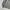 Nike Streetwear Sportswear Sweatshirt Pria gray photo 4