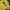 Vintage Y2K Jersey Pria yellow photo 3