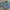 Lee Streetwear Grunge Denim jacket Pria blue photo 7