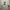 Y2K Casual T-shirt Pria white photo 2