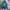 Cosplay Hoody Pria blue photo 8