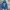 Cosplay Hoody Pria blue photo 1