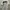 Y2K Casual T-shirt Pria white photo 2