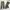 Gorpcore Sportswear Sweatpants & Joggers Pria green photo 1