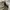 Gorpcore Sportswear Sweatpants & Joggers Pria green photo 3