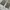Gorpcore Sportswear Sweatpants & Joggers Pria green photo 4