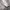 Lee Casual Hoody Pria white photo 4