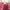 Sportswear Jersey Wanita multicolor photo 4