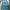 Jiniso Casual Jeans Pria green blue photo 2