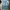 Jiniso Casual Jeans Pria green blue photo 1
