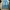 Jiniso Casual Jeans Pria Green Blue