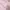 Coquette Wanita pink photo 1