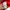Kappa Vintage Track jacket Pria red photo 3