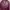 ZARA Vintage Luxury Blazer Wanita burgundy red photo 3
