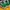 A Bathing Ape Streetwear Sportswear Sneakers Pria green white photo 6