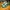 A Bathing Ape Streetwear Sportswear Sneakers Pria green white photo 2
