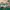 A Bathing Ape Streetwear Sportswear Sneakers Pria green white photo 1