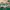 A Bathing Ape Streetwear Sportswear Sneakers Pria Green White