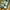 A Bathing Ape Streetwear Sportswear Sneakers Pria green white photo 4