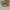 Adidas Casual Sneakers Pria white photo 4