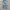 GAP Streetwear Skater Jeans Pria blue photo 1