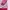 Nevada Casual Sweatshirt Wanita pink photo 3