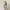 Acne Studios Avant Garde Coquette Summer dress Wanita tan cream photo 8