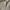 Acne Studios Avant Garde Coquette Summer dress Wanita tan cream photo 7
