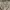 Acne Studios Avant Garde Coquette Summer dress Wanita tan cream photo 5