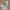 Carhartt Casual Casual pants Pria white photo 1