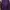 Armani	 Casual T-shirt Pria Purple