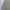 Armani	 Vintage Luxury Parka Pria gray photo 2
