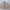 Japanese brand Vintage Luxury Windbreaker Pria cream photo 1