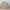 Japanese brand Vintage Luxury Windbreaker Pria cream photo 5